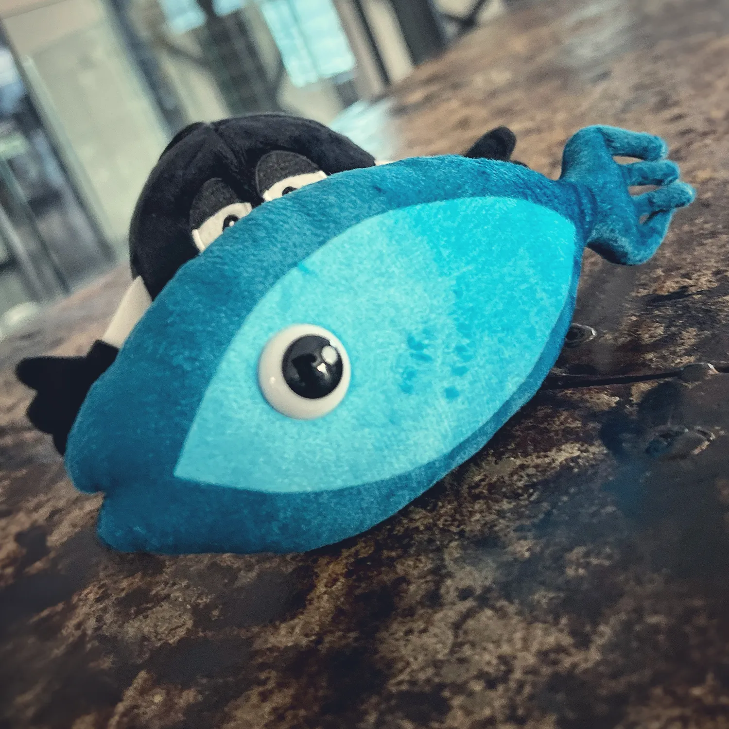 IMMAGINA | RACCONTA | VEDI IL RISULTATO | STUPISCITI